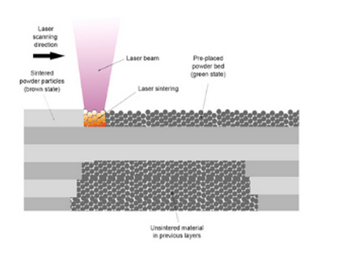 Selective Laser Sintering