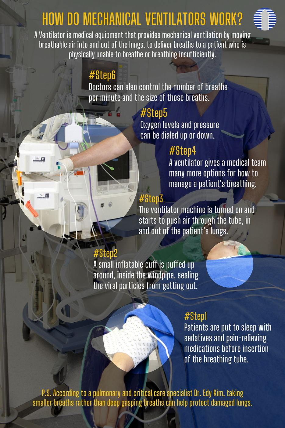 HOW DO MECHANICAL VENTILATORS WORK